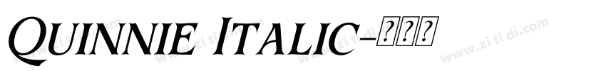 Quinnie Italic字体转换